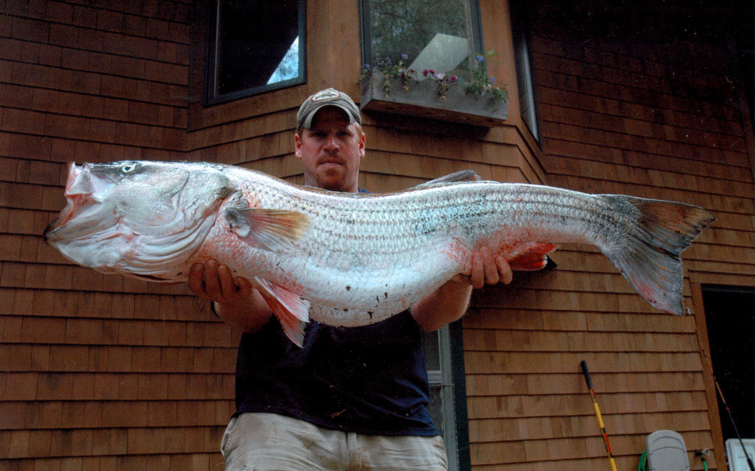  Fishing for Fall Stripers Quimby s Cruising Guide