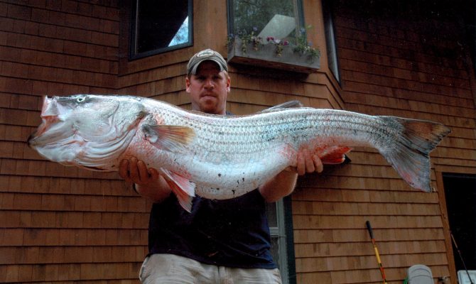 Fishing for Fall Stripers – Quimby's Cruising Guide