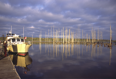 Midway Marina in Mississippi